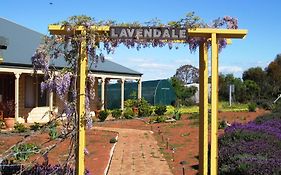 Lavendale Country Retreat